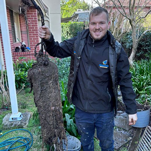 Same Day Sewer & Drain Clearing Across Nerang